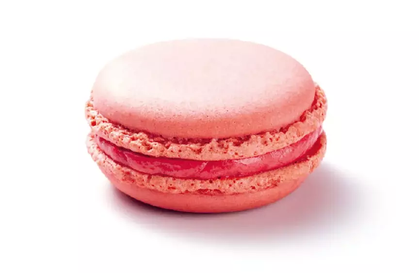 Bright pink macarons on white background